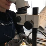 Konservatorin Siri Wahlstrøm hat den einzigartigen Ohrring gesäubert.