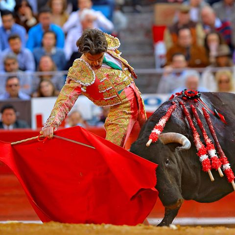 StierkampfDer spanische Stierkämpfer Jose Tomas bei einem Auftritt in Mexiko City. 