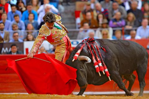 StierkampfDer spanische Stierkämpfer Jose Tomas bei einem Auftritt in Mexiko City. 
