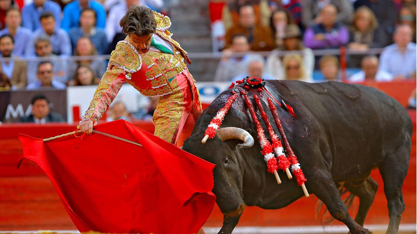 StierkampfDer spanische Stierkämpfer Jose Tomas bei einem Auftritt in Mexiko City. 