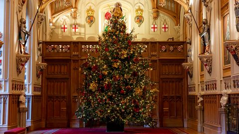 Gewaltiger Weihnachtsbaum auf Schloss Windsor