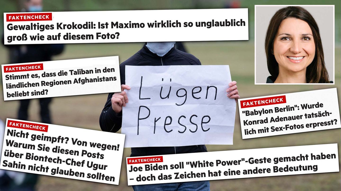 Verschiedene Überschriften von Faktenchecks des stern auf einer Collage, die einen Mann mit einem "Lügenpresse"-Schild zeigt