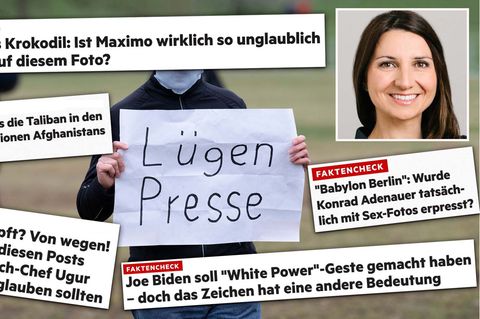 Verschiedene Überschriften von Faktenchecks des stern auf einer Collage, die einen Mann mit einem "Lügenpresse"-Schild zeigt