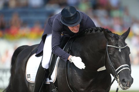 Pferd Tolias
