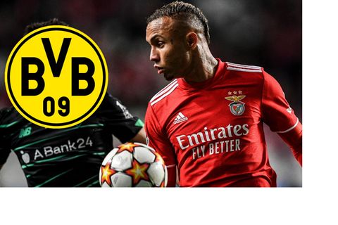 Everton Dortmund Benfica