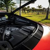 Audi R8 RWD Performance