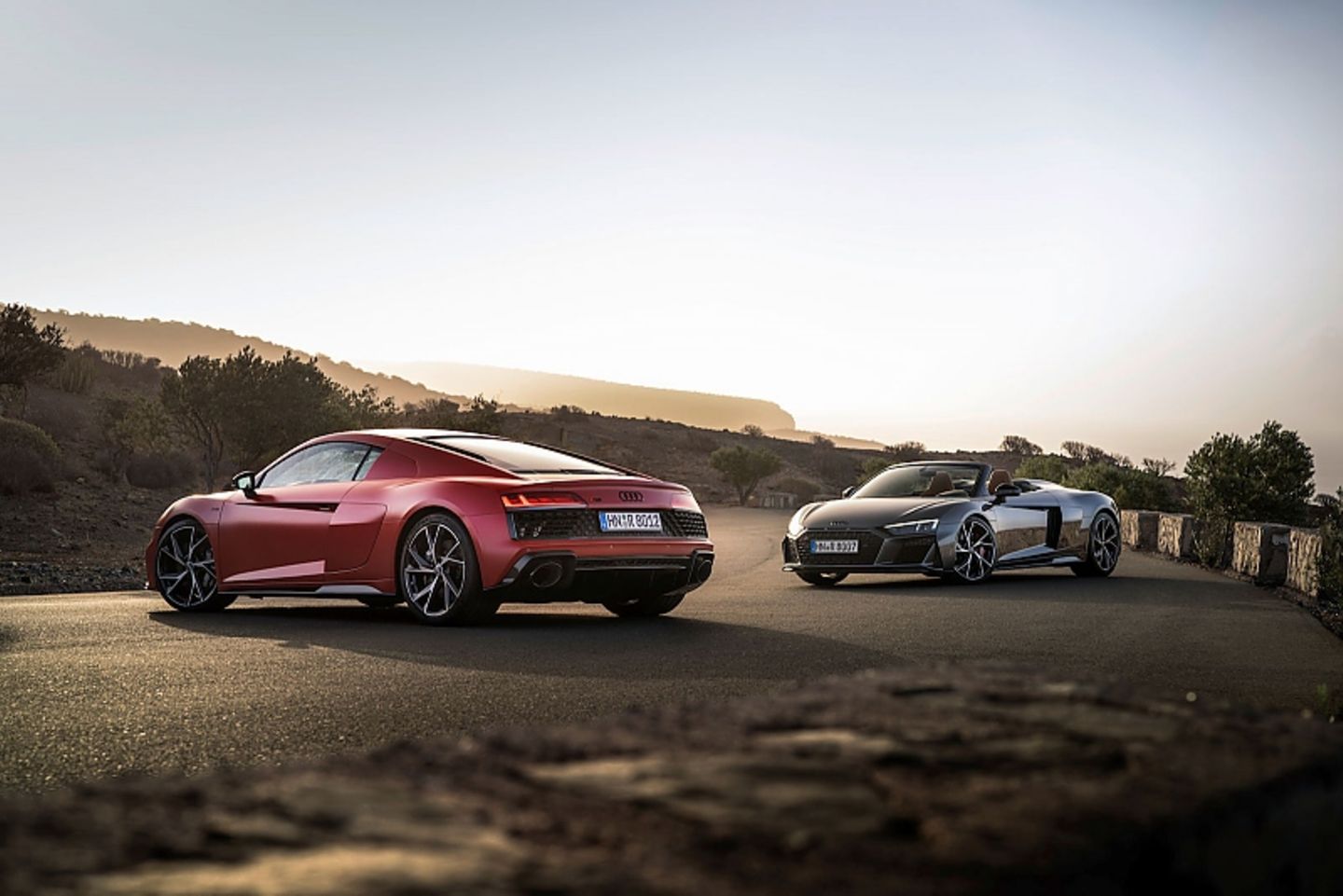 Audi R8 RWD Performance