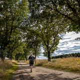 Kolonnenweg im Sommer