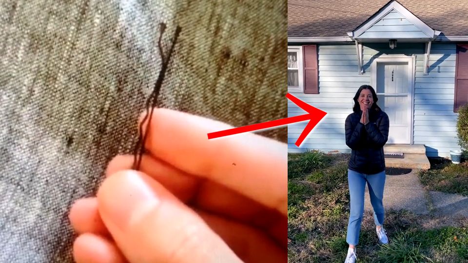 Frau beginnt Tausch-Experiment mit Haarnadel – jetzt besitzt sie ein eigenes Tinyhouse