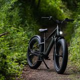 Das RadRhino legt einen selbstbewussten Auftritt hin.