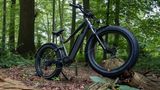Für Kunsstücke auf dem Trail ist das Rad nicht geschaffen, doch Offroadstrecken bewältigt es gut.