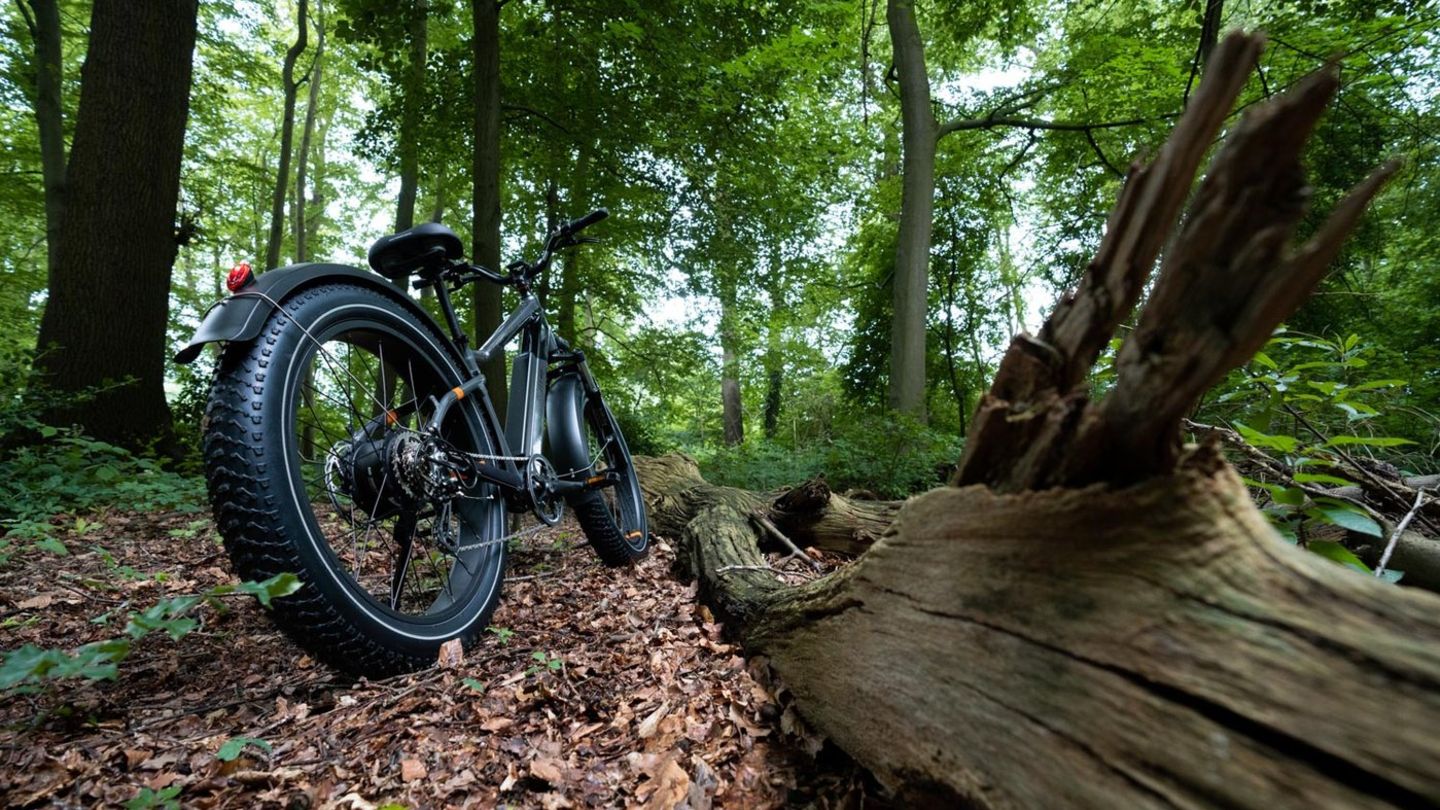 E Bike Ab Wann Versicherung