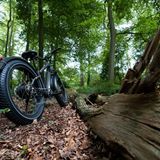 Hier sieht man die Dimension der Reifen.