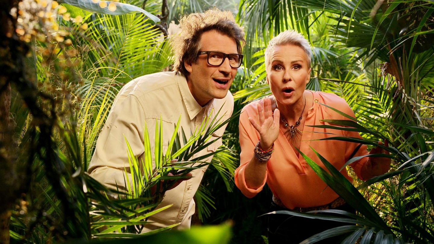 Daniel Hartwich und Sonja Zietlow