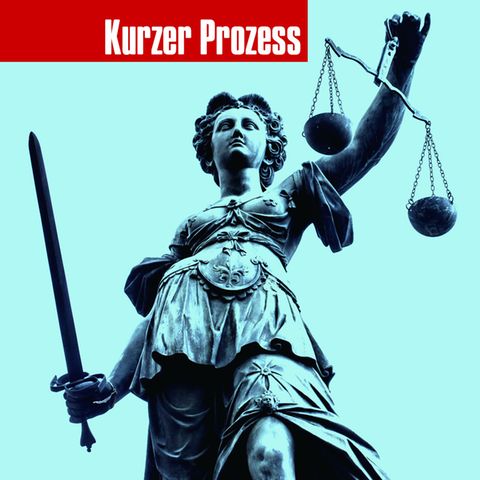 1086 Gerichte urteilen in Deutschland. Sie verhandeln die großen und kleinen Dramen dieses Landes. In dieser Kolumne erzählen stern-Reporter, was sie in den Sälen erleben