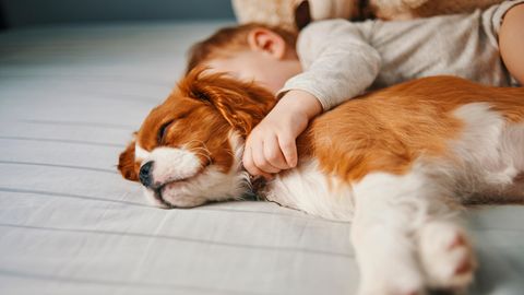 Ein Baby mit einem jungen Hund