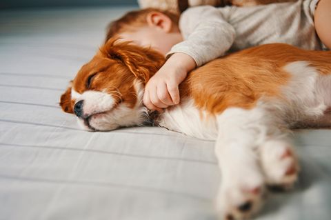 Ein Baby mit einem jungen Hund
