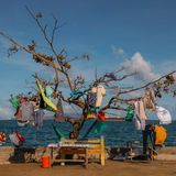 Wäsche trocknet in einem Baum