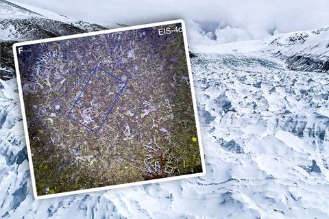 Antarktis: Forscher entdecken Leben unter 190-Meter-Schelfeis