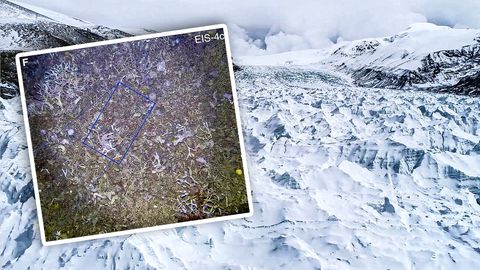 Antarktis: Forscher entdecken Leben unter 190-Meter-Schelfeis