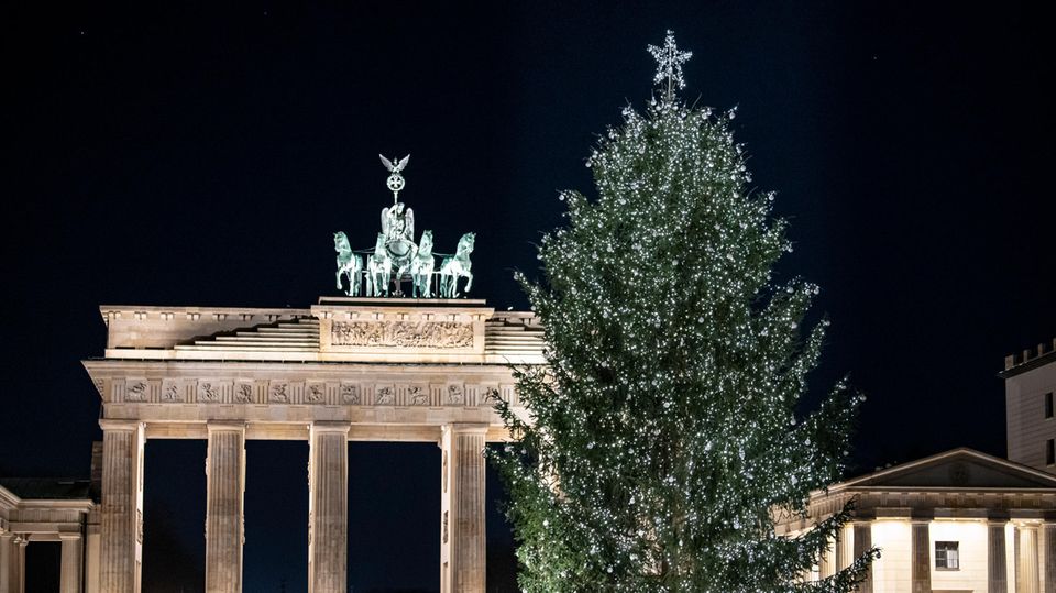 Der Weihnachtsbaum am Brandenburger Tor in Berlin