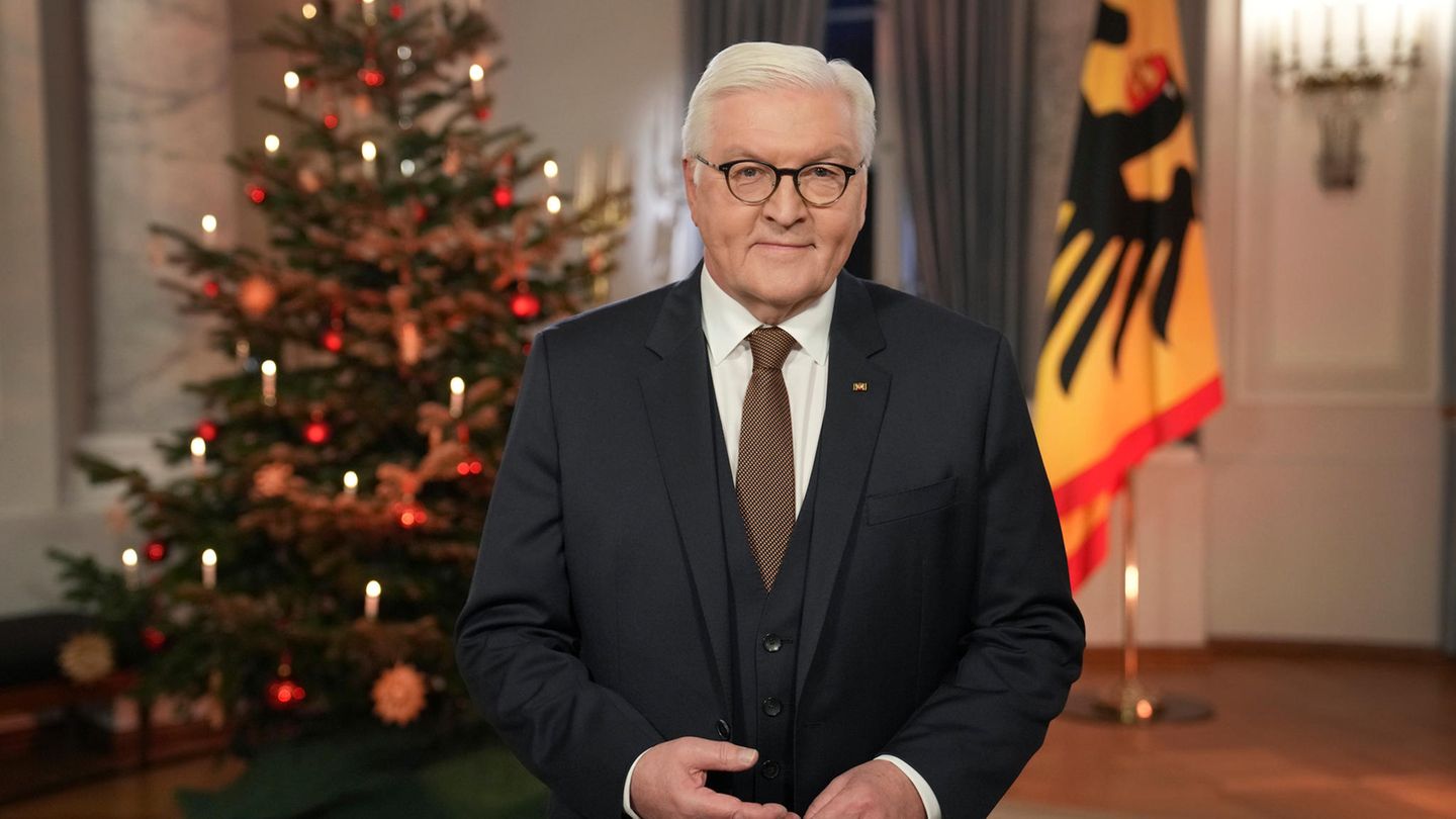 Bundespräsident Frank-Walter Steinmeier