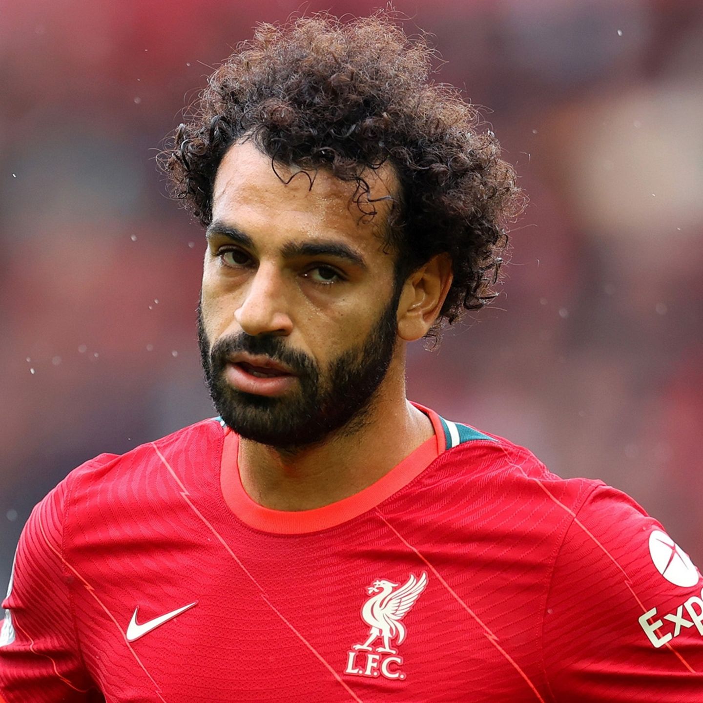 Fc Liverpool Vertragsverlangerung Salah Fordert Angeblich Transfer Von Sturmer Stern De