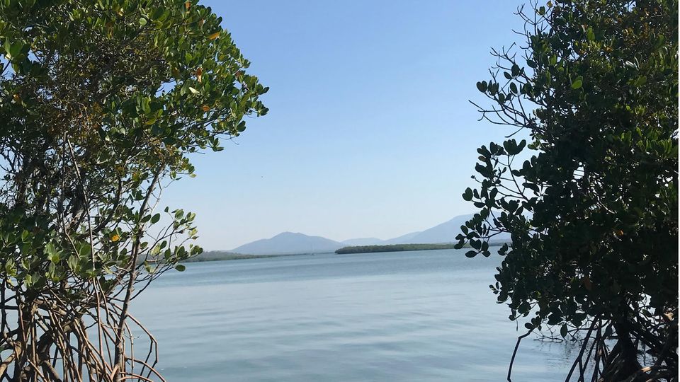 Blick von der Insel Worthington Island, die Craig Beckey käuflich erworben hat, aufs Wasser