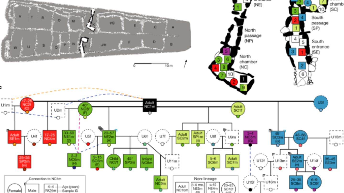 Die Toten und ihre Lage in den Kammern.