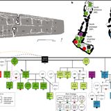 Die Toten und ihre Lage in den Kammern.