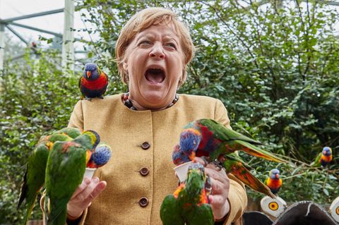 Jahresrückblick: Merkel Vögel