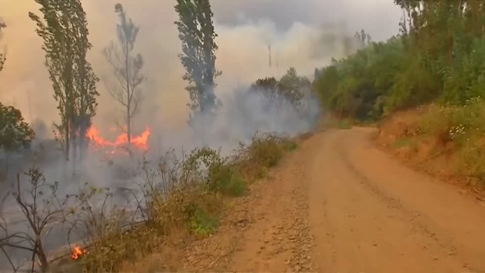 Video: Buschbrände wüten im Süden Chiles