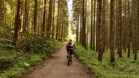 Ein Mann fährt auf einem Fahrrad durch den Wald