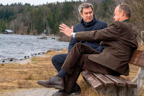 Söder Merz 8
