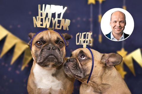 Zwei Hunde mit "Happy new year" Kopfschmuck