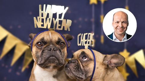 Zwei Hunde mit "Happy new year" Kopfschmuck