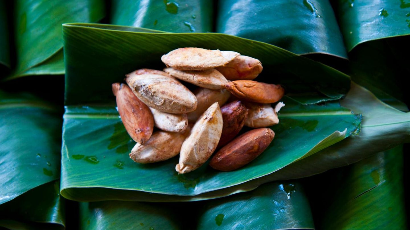 Paranüsse Paranüsse