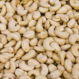 Cashewkerne