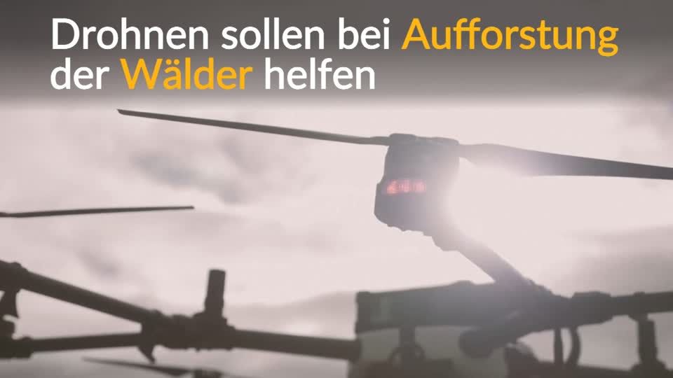 Video: Waldretter aus der Luft Video: Waldretter aus der Luft