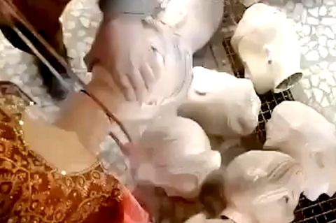 Taliban köpfen weibliche Schaufensterpuppen