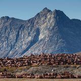 Bluie East Two Grönland