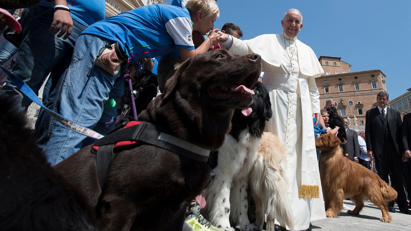 Papst Franziskus beim Treffen mit einer Rettungshundestaffel