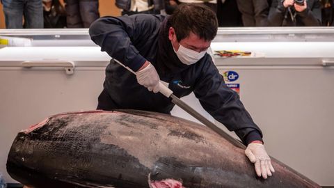 Traditionelle Neujahrsauktion: Blauflossen-Thunfisch wird für unfassbare 128.000 Euro versteigert