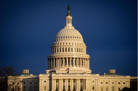 Das Kapitol in Washington in der leuchtenden Nachmittagssonne