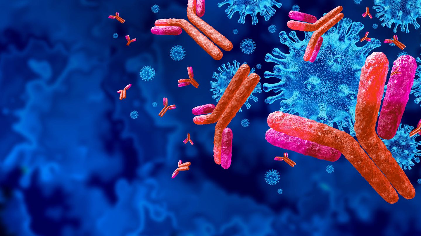 Omikron und Boostern Antikörper attackieren den Corona-Virus