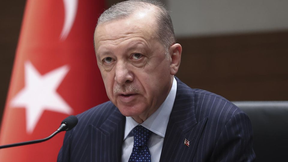 Portrait Erdogan