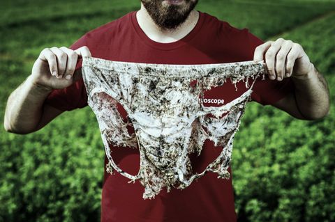 Okay, ganz so schlimm dürften die Exemplare in Norwegen nicht aussehen. Wahr ist aber, dass dort Soldaten ihre Unterwäsche ihren Nachfolgern hinterlassen sollen (Symbolbild)