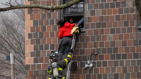 Mithilfe der Feuerwehr und einer Leiter flüchten Anwohner durch ein Fenster aus ihrem brennenden Wohnhaus in New York