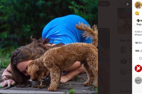 Jenna Phillips trinkt und isst auch gerne wie ein Hund 