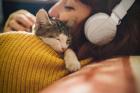 Mit der Katze die steigenden Heizkosten bekämpfen?